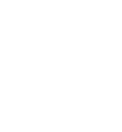 logo-advanced-holistic-health-white