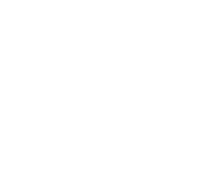 logo-advanced-nutrition-white